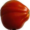Tomato Segmentation project thumbnail
