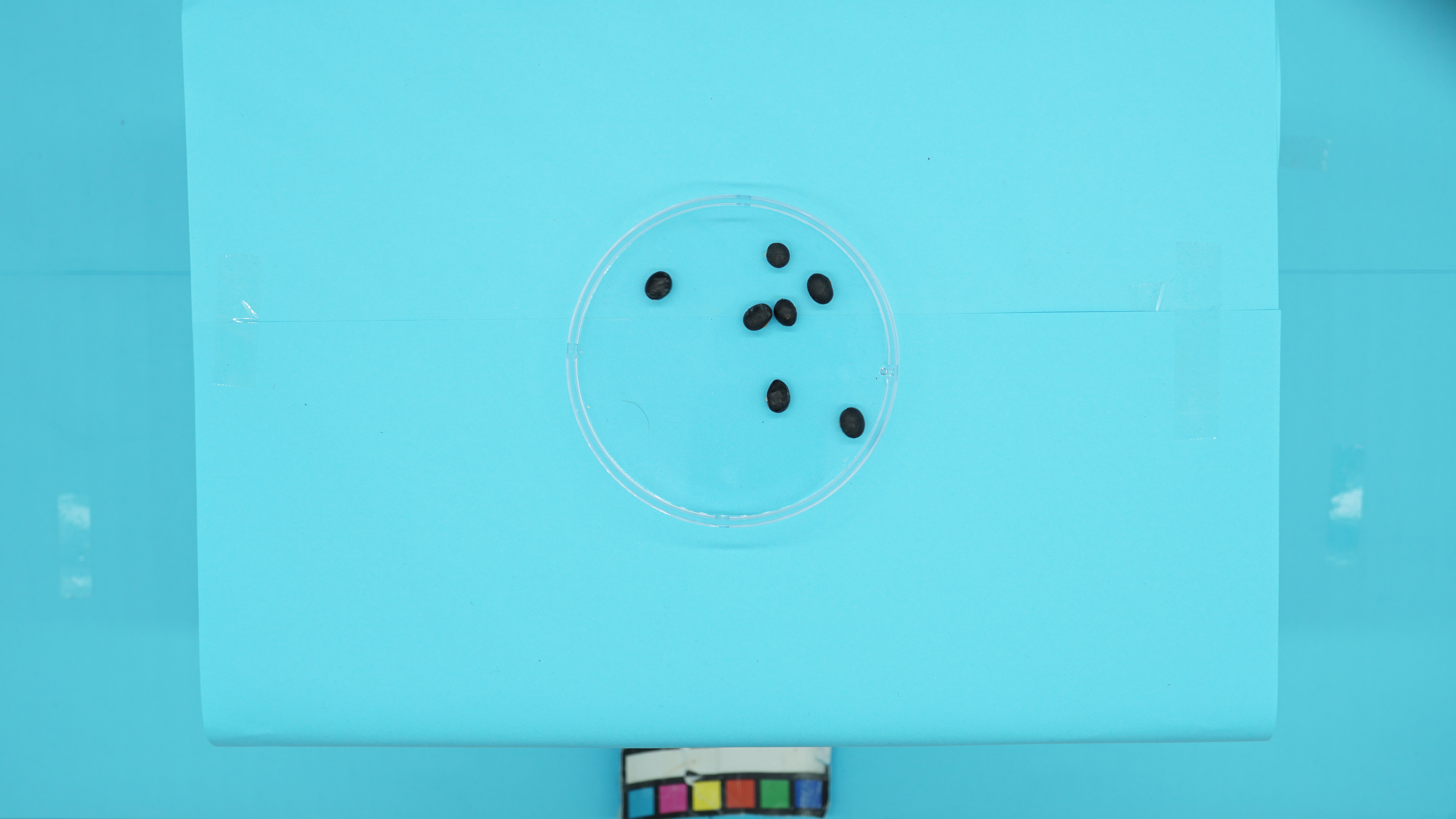 7조 2 Instance Segmentation Dataset by project-86bx0