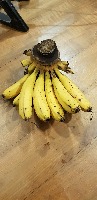 banana project thumbnail