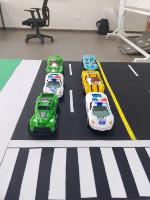 Dataset Image