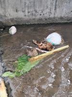 Dataset Sampah project thumbnail