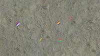 flag detection project thumbnail