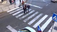 pedestrian_dataset_test project thumbnail