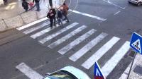 pedestrian_dataset project thumbnail