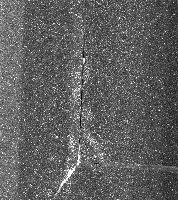 test_lines project thumbnail