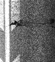 rr project thumbnail