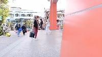 skripsi-crowdcounting project thumbnail