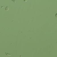 cell counting project thumbnail