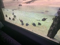 New vision task project thumbnail