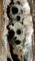 Weld Data Aug - P project thumbnail
