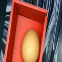 egg project thumbnail