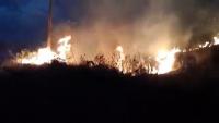 D-fire project thumbnail