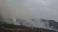 Custom_Wildfire_Dataset project thumbnail