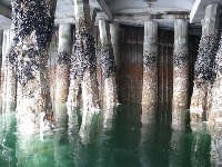 Corrosion Detection project thumbnail