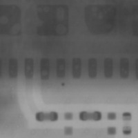 new_test project thumbnail