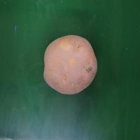 Defected_Potato project thumbnail