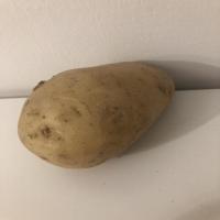 fruits_dataset project thumbnail