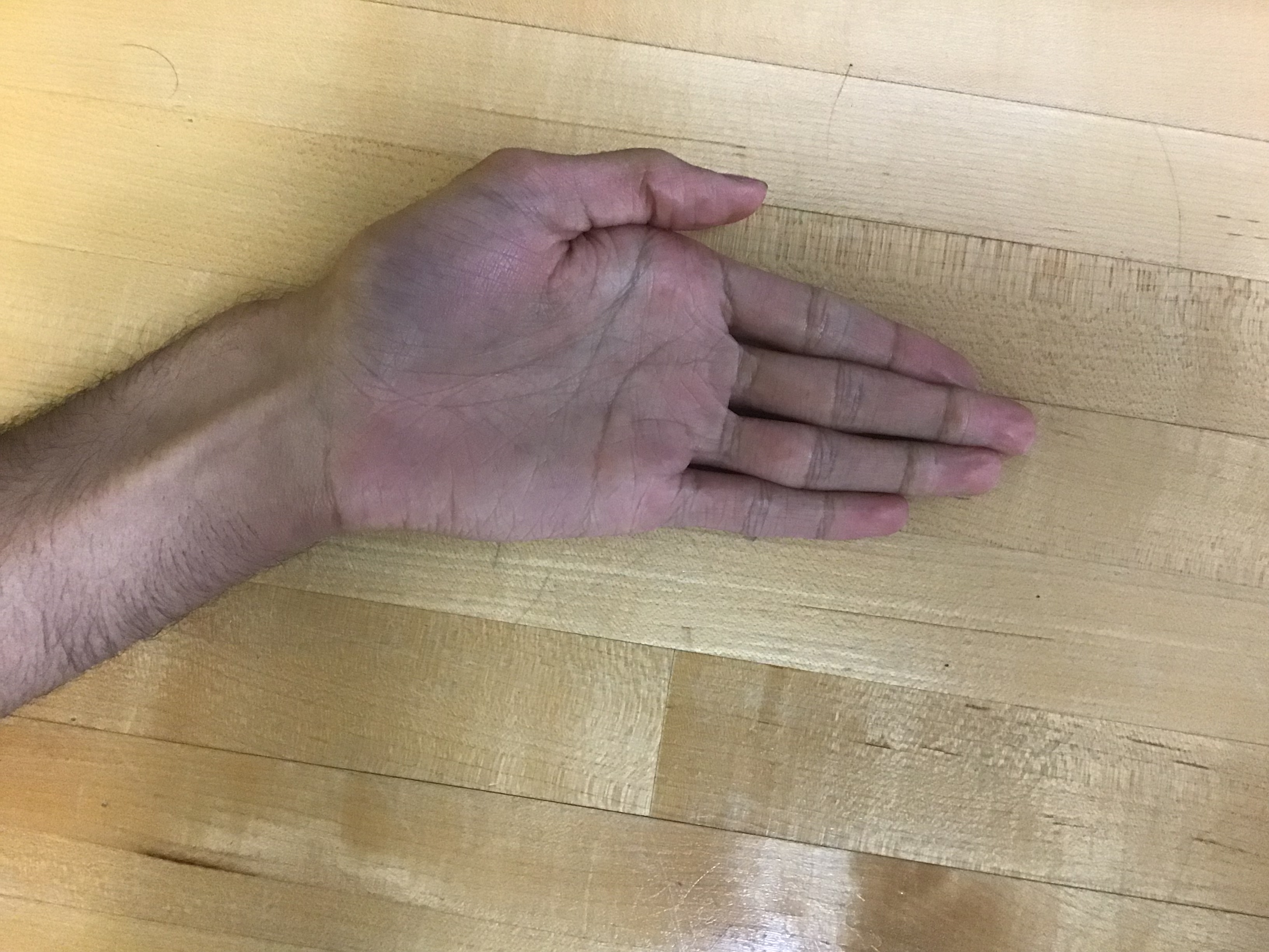 computer vision Object Detection Model by goofball