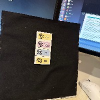 Dataset Image