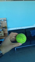 Dataset Image