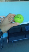 Dataset Image