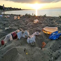 plastic project thumbnail