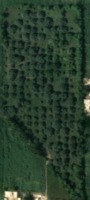 Tree_Count project thumbnail