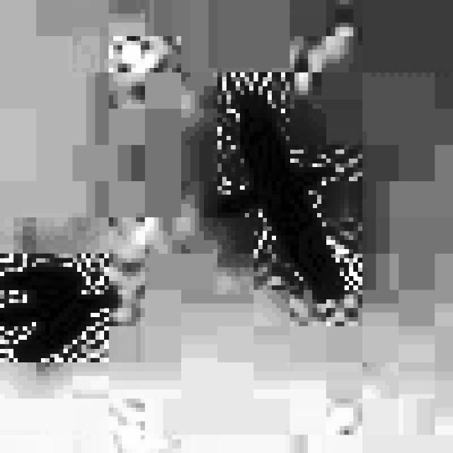 Flying birds Object Detection Model by Murry