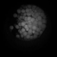 Pe11e7 project thumbnail