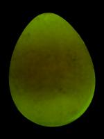 Quail Sys project thumbnail