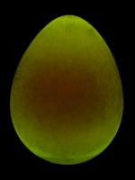 Quail Sys B project thumbnail