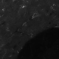 am_all project thumbnail