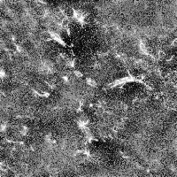ALS_208_random4 project thumbnail