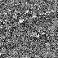 ALS_208_random3 project thumbnail