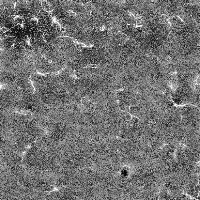 ALS_208_random1 project thumbnail