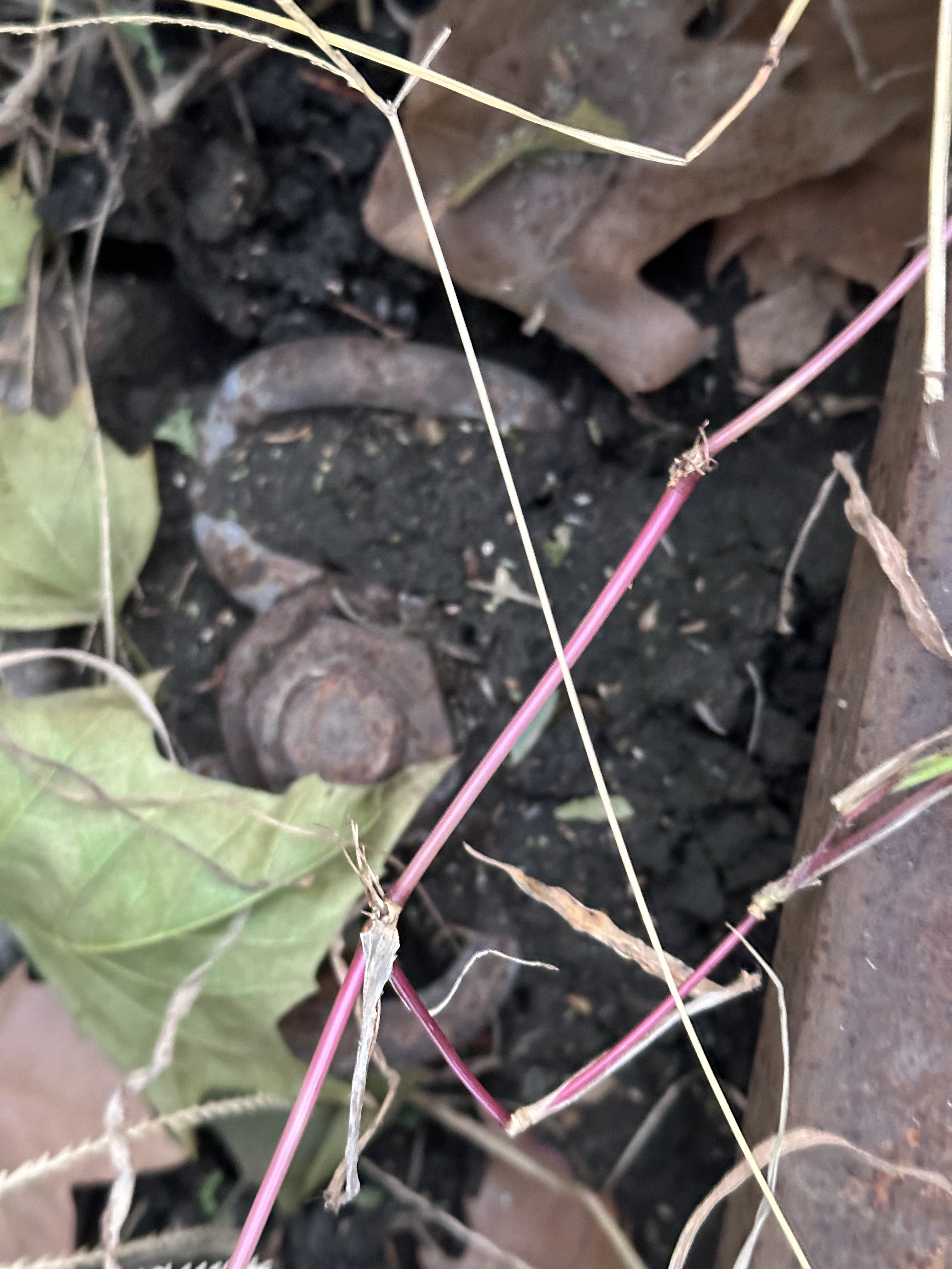 rail Object Detection Dataset by railmyself