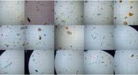 sorting project thumbnail