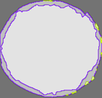 Annotation Visualization