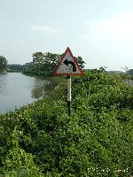 Indian Traffic Sign  project thumbnail