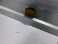 kiwi project thumbnail