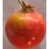 Pomegranate 12-03-25 project thumbnail