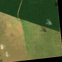 leaf_seg_full project thumbnail