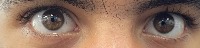 Eye Tracking V4 (Final - Project) project thumbnail