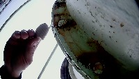 Moth and Egg project thumbnail