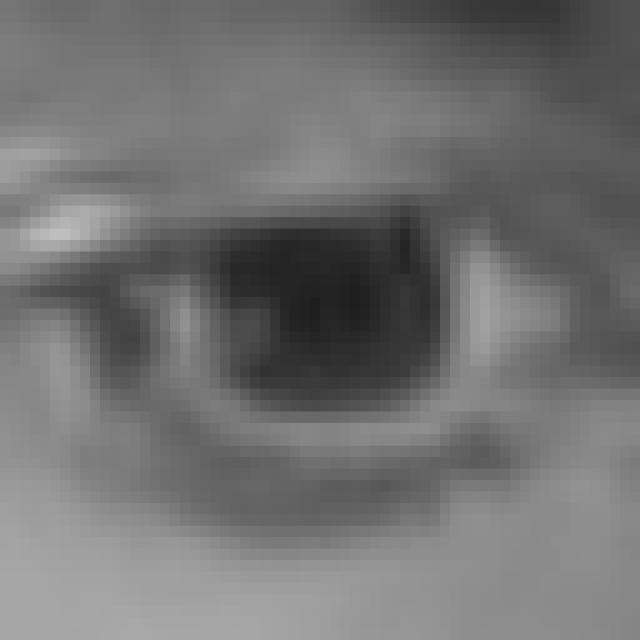 Eye Track Object Detection Dataset By Tra