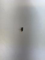 screw detection project thumbnail