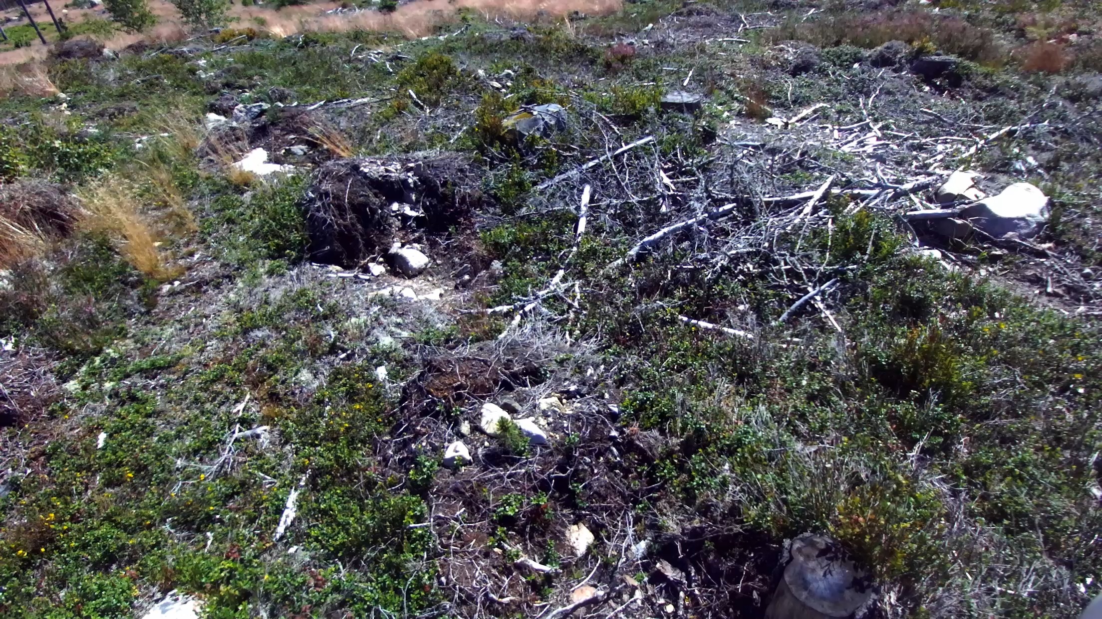 Firetesting Roboflow Universe