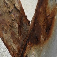 Rust Detection 1 Object Detection Dataset by Rakshit Aralimatti