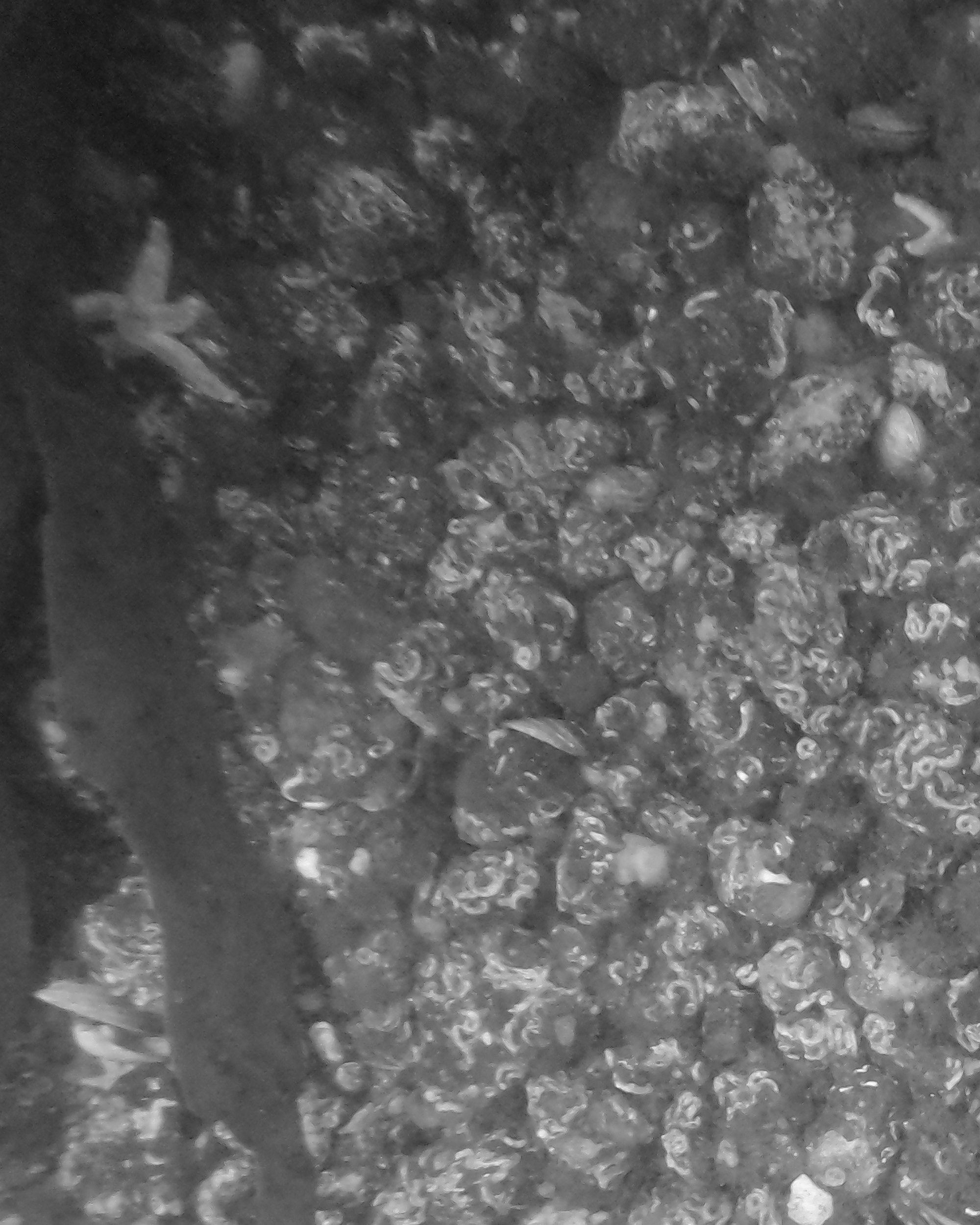 test1 Object Detection Dataset by test