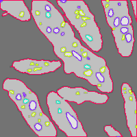 Annotation Visualization